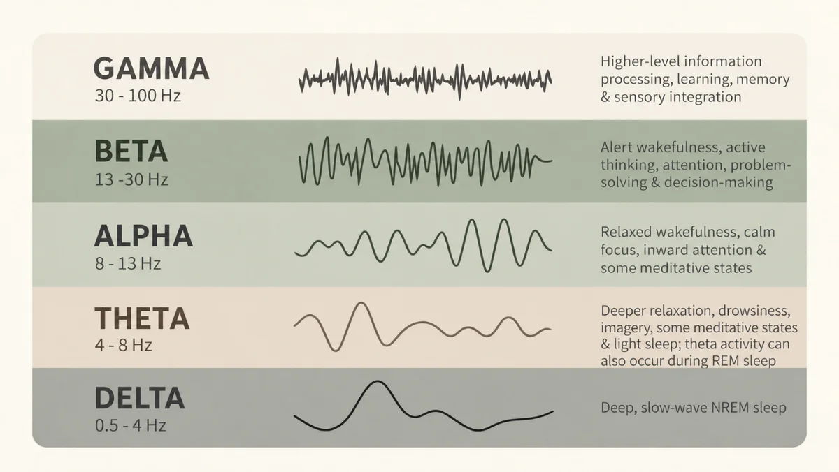 Chart of brain rhythms: gamma 30–100 Hz, beta 13–30 Hz, alpha 8–13 Hz, theta 4–8 Hz and delta 0.5–4 Hz, each with a typical wave and a short description of the related states.